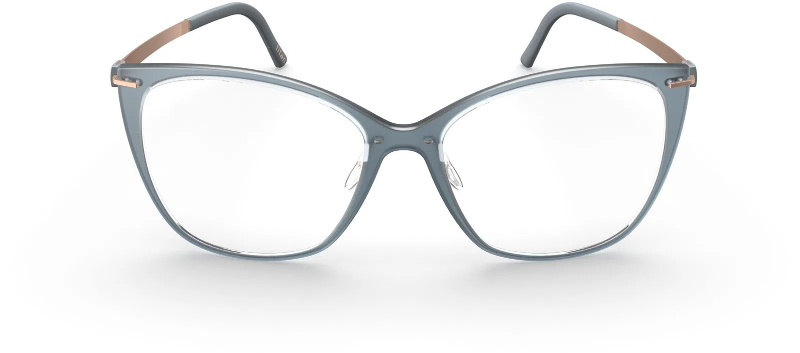 Silhouette Infinity View 1610 Eyeglasses - view 22